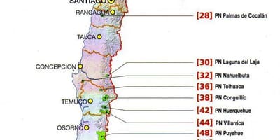 Bản đồ của futaleufu Chile